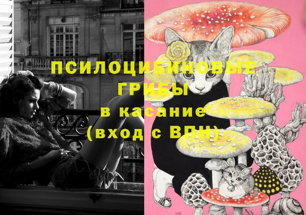 a pvp Армянск