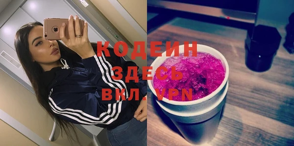 молекула духа Арсеньев